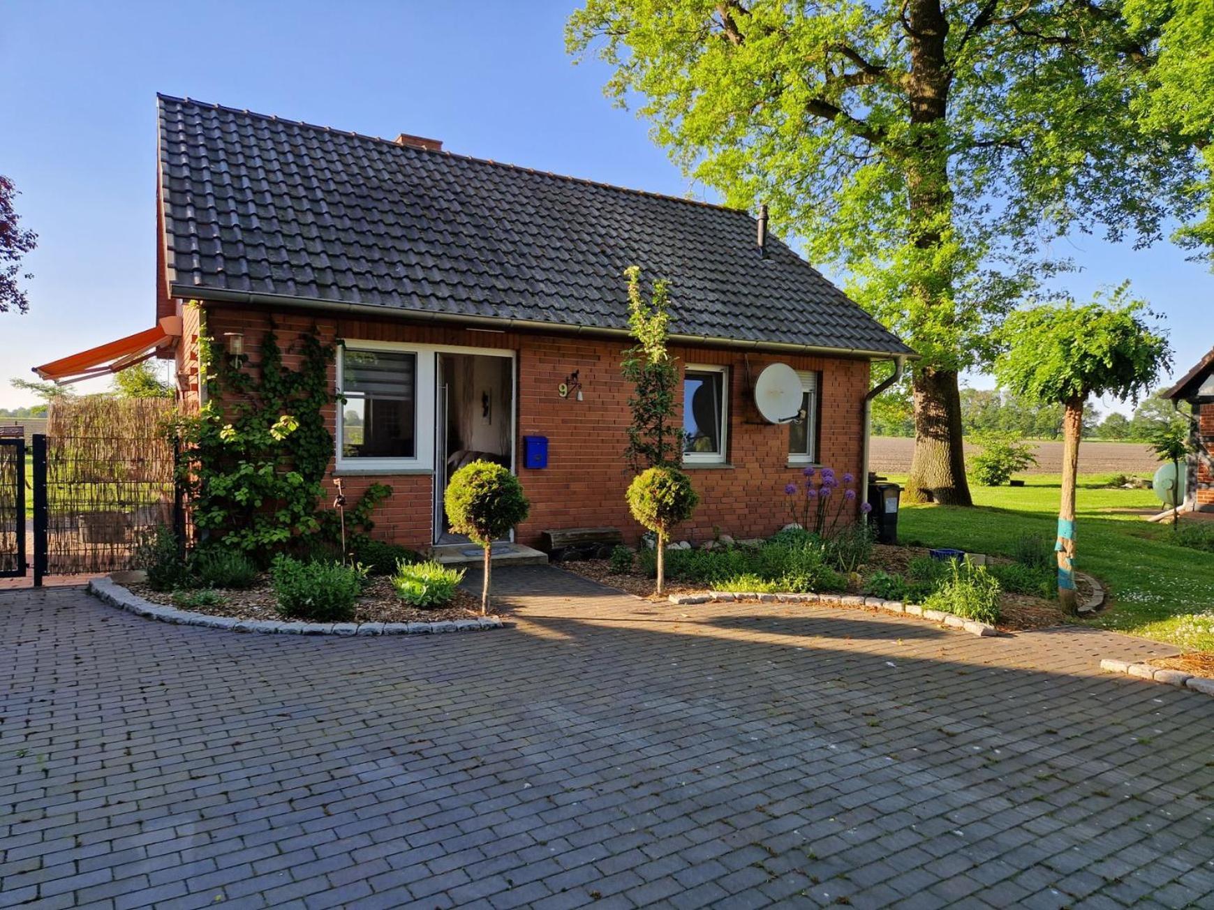 Haus Am Willenberg Apartment